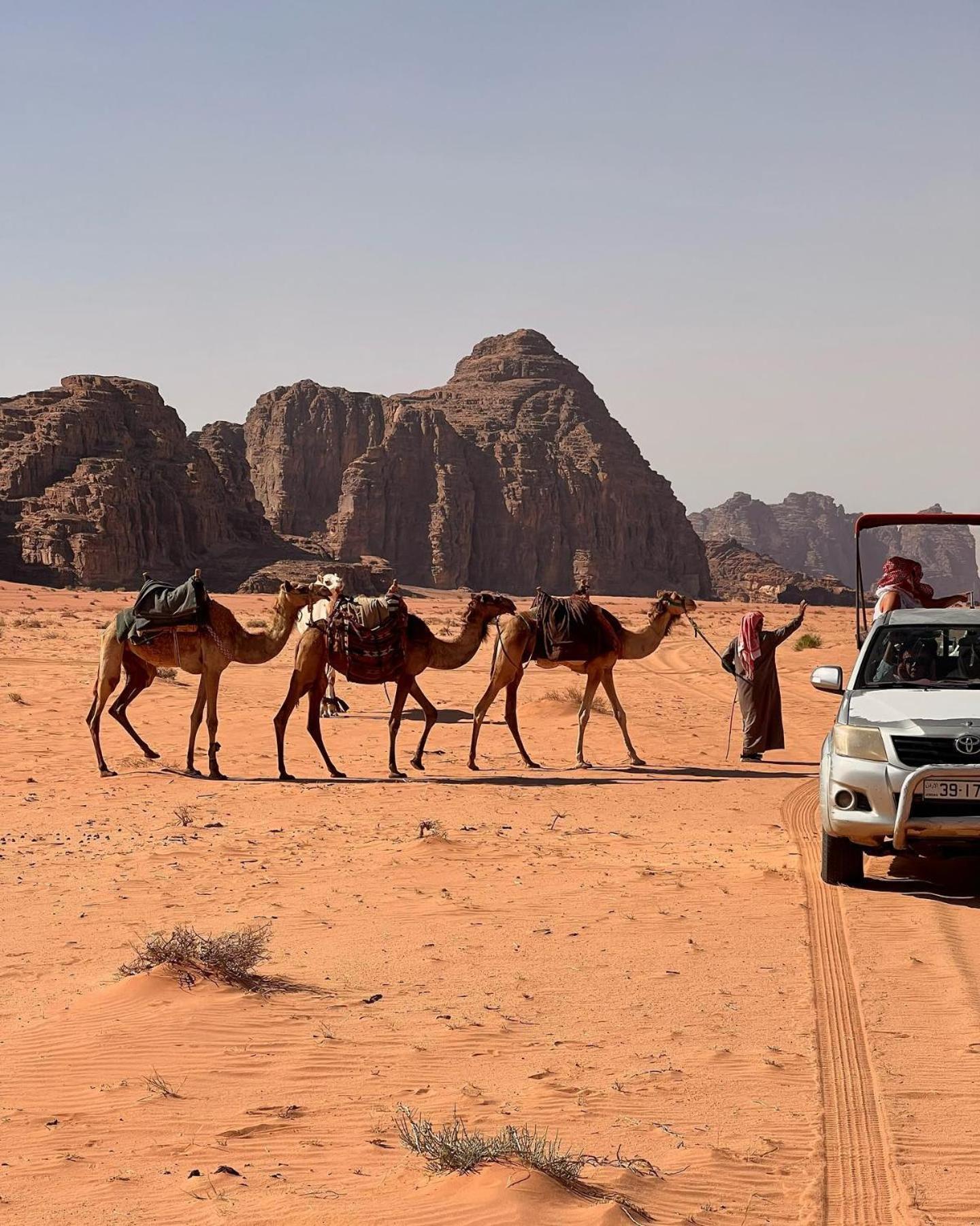 Daniela Camp Wadi Rum Eksteriør billede